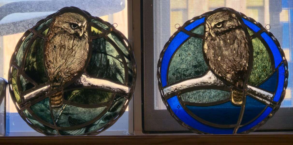 Owl