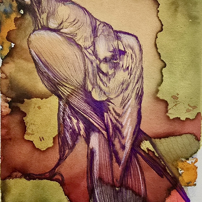 Coo!